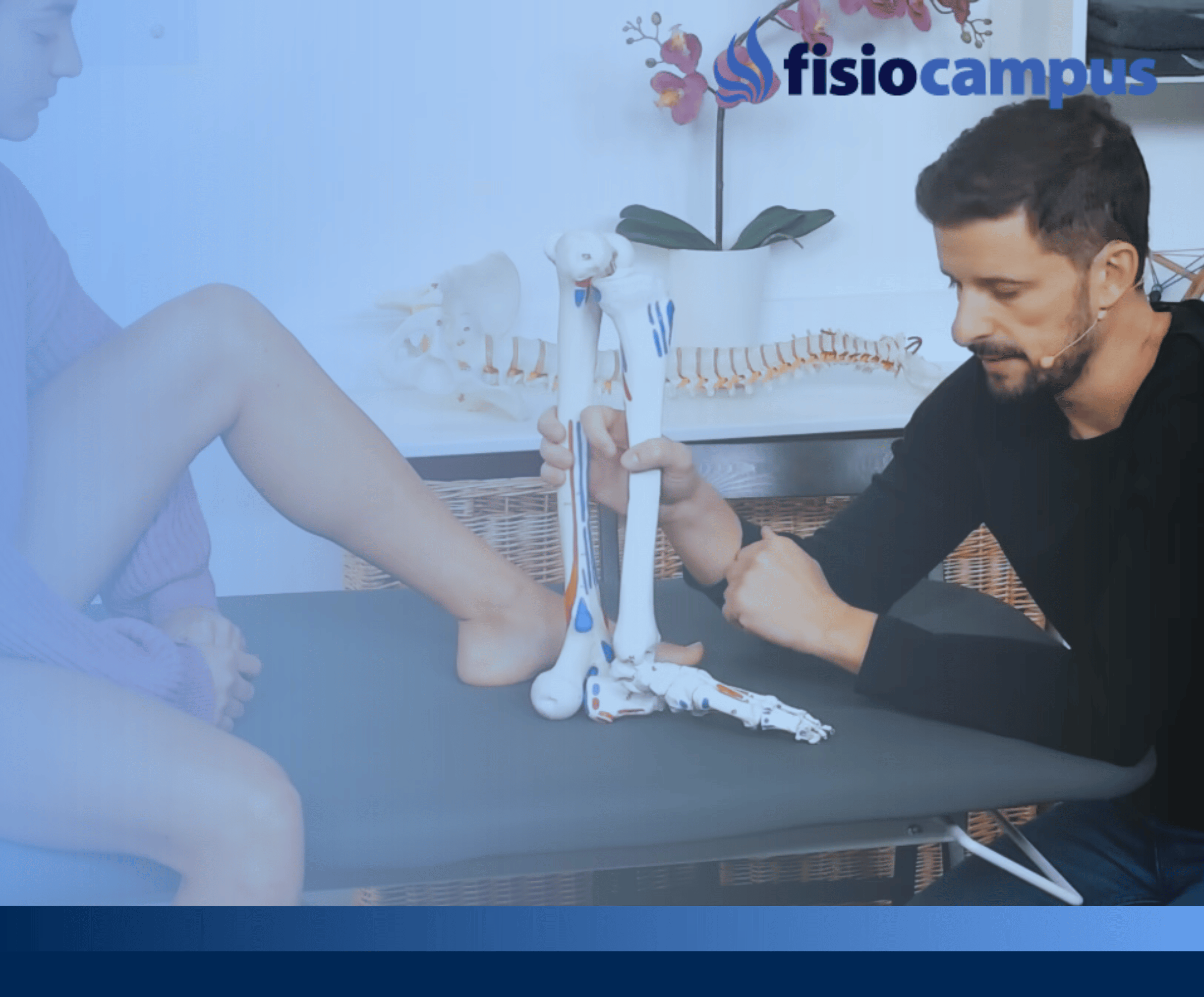 Introducción a la anatomía palpatoria aplicada al diagnóstico clínico - 2022