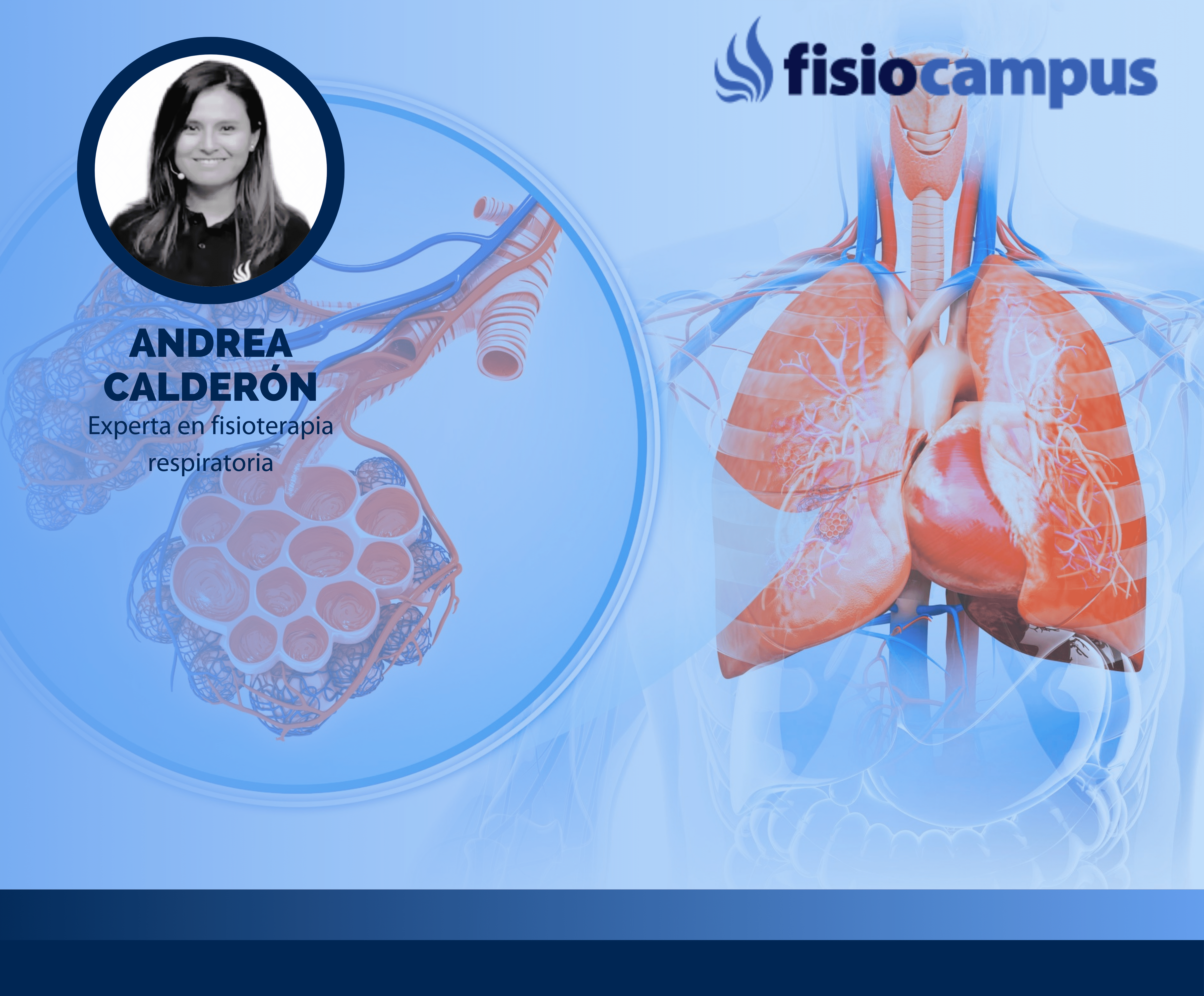 Bases y fundamentos de la fisioterapia respiratoria
