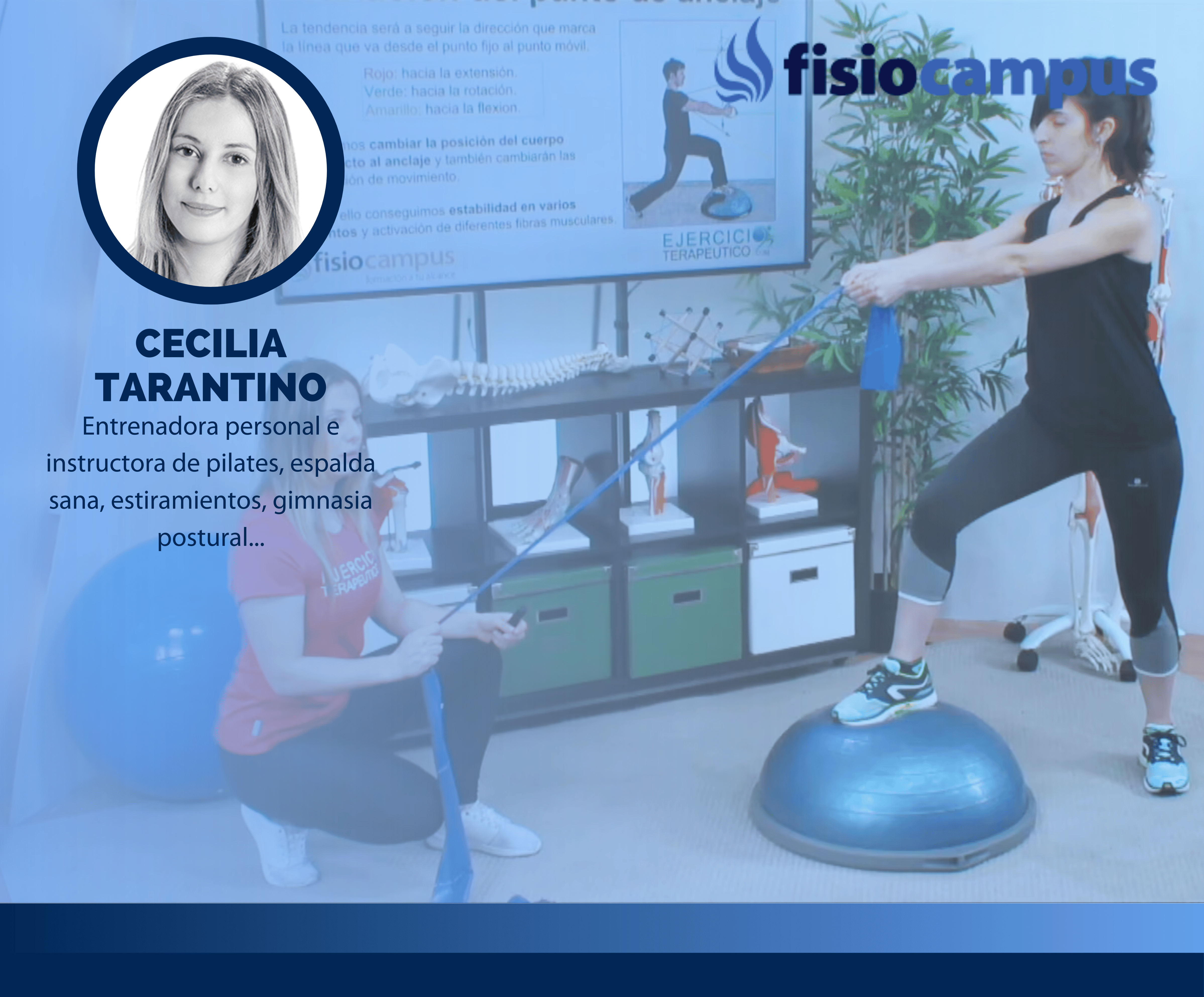 Entrenamiento Propioceptivo - Básico