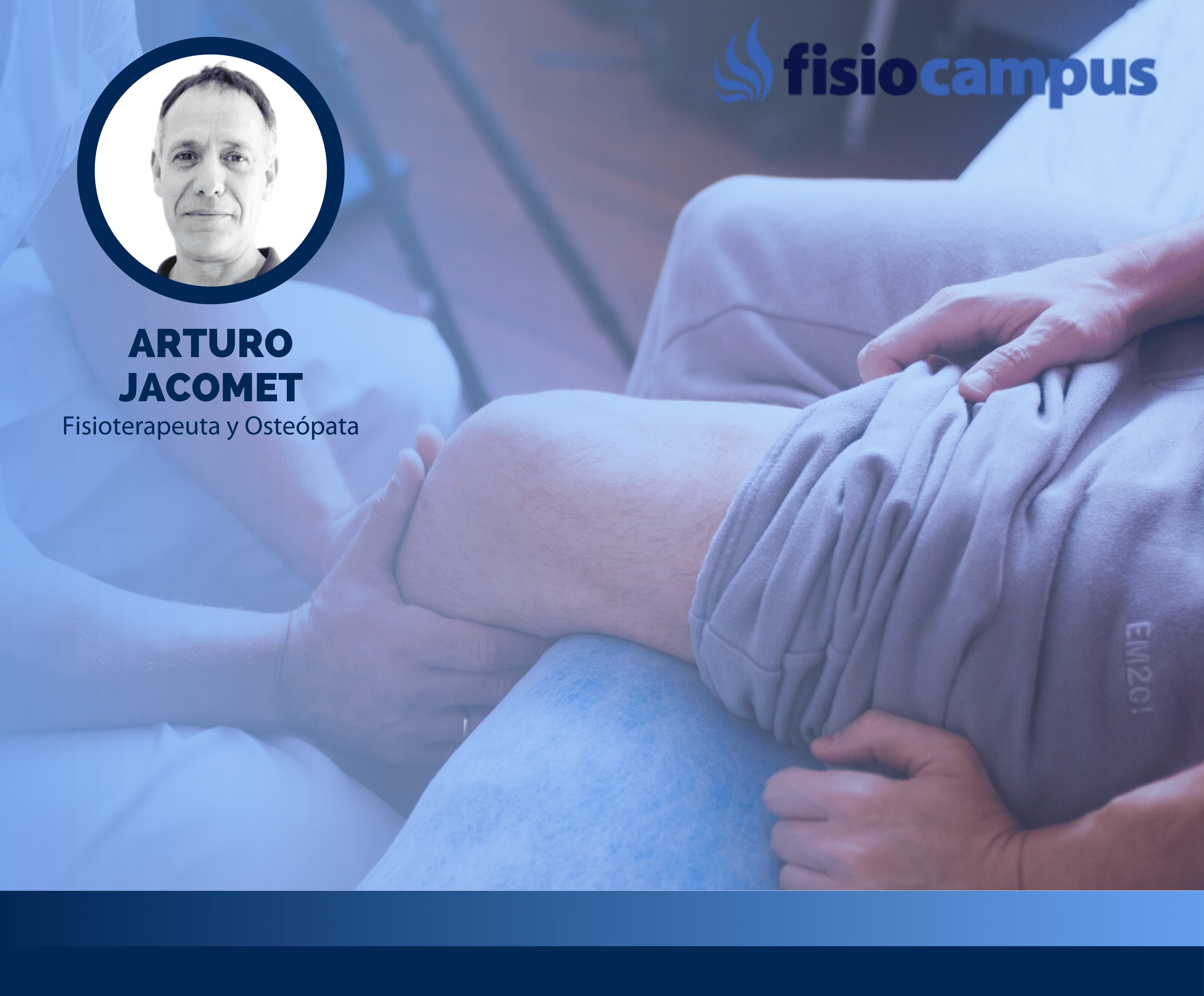 Terapia manual aplicada a las patologías más frecuentes encontradas en la práctica clínica