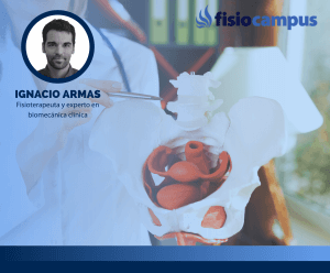 Abordaje de la pubalgia desde un enfoque práctico