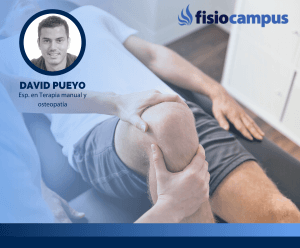 Abordaje clínico y global de las patologías de miembro superior e inferior a través de la terapia manual