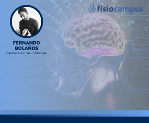 Neurobiología Cuerpo - Mente