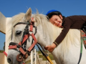 Intervenciones asistidas por animales en neurorehabilitación: Evidencia y prácti...