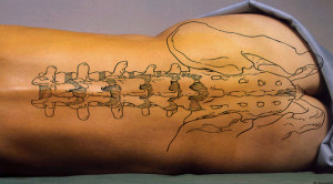 Eficacia de la terapia manual en el tratamiento del dolor lumbar crónico