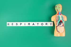 Eficacia de la fisioterapia respiratoria en el asma: técnicas respiratorias