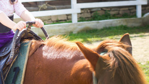 Hipoterapia en Parálisis Cerebral