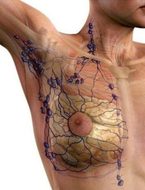 Drenaje linfático en oncología mamaria