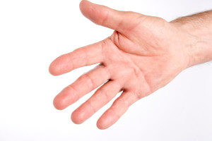 Anatomía de la mano. Una revisión de los componentes óseos