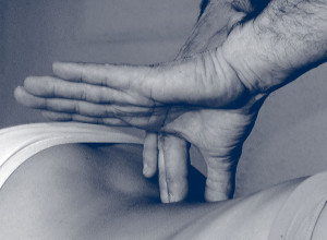 Reeducación neuromuscular y propioceptiva del carpo. Estrategias basadas en la evidencia.