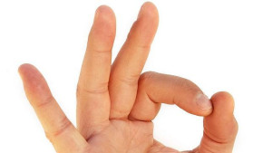 El aparato flexor de la mano: revisión de su anatomía y biomecánica