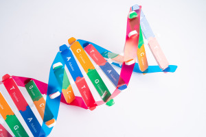 Kinesiogenómica: una perspectiva única en la investigación de fisioterapia