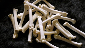 Ultrasonido Pulsado de Baja Intensidad en la consolidación ósea: una guía basada en la evidencia