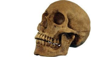 Relación entre la disfunción temporomandibular y la postura